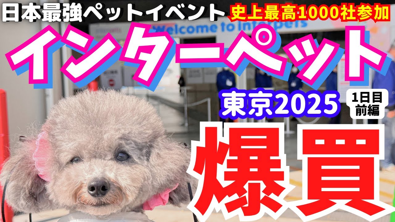 【インターペット2025】速報！日本最大級のペットイベントで爆買い＆無料サンプルに大興奮🐶【東京ビッグサイト】【犬イベント】1日目前編 【厳選出展者31社紹介・過去最多950社】