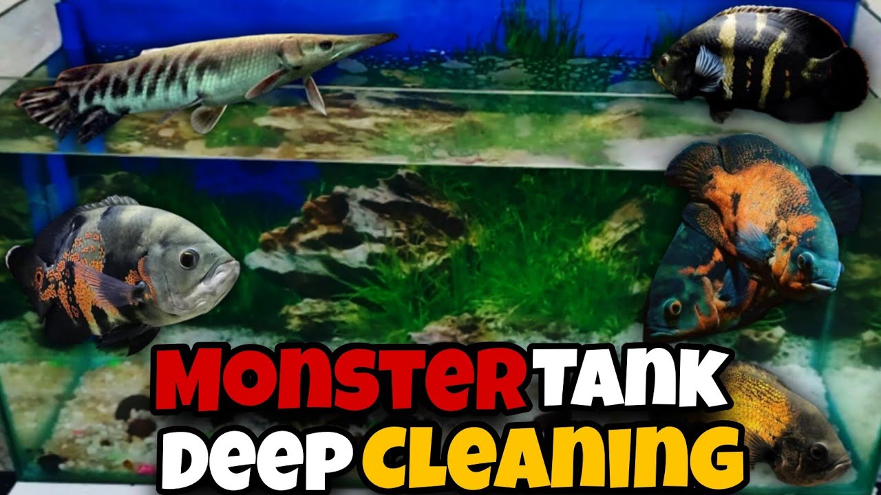 Monster Tank deep cleaning.✌️ ┃I Converted my tank from old to a new one. 🤯😳┃AUA Niazi
