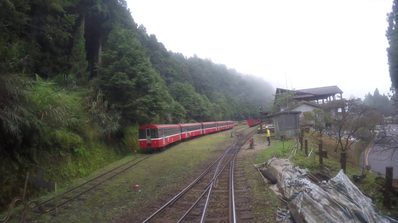 阿里山森林鐵路神木線前方景(神木→阿里山) Driver's View of Alishan Forest Railways, the Sacred Tree Line.