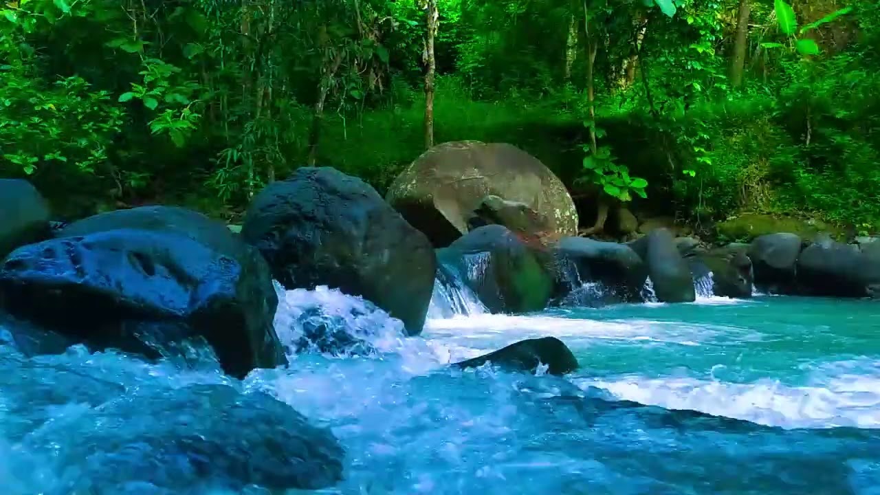 Relaxing River Sounds - Beautiful Forest Scenery - Tranquil White Noise For Relaxation