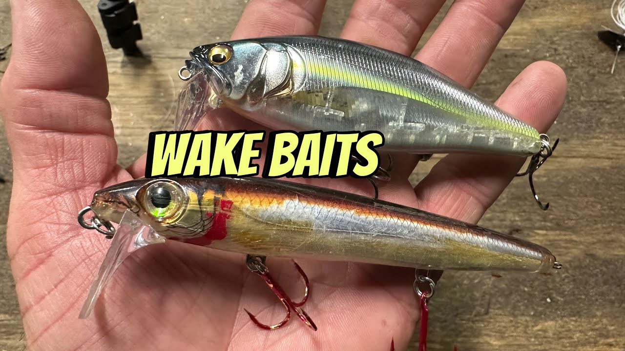 When Wake Baits Outproduce ALL Other Topwater Lures