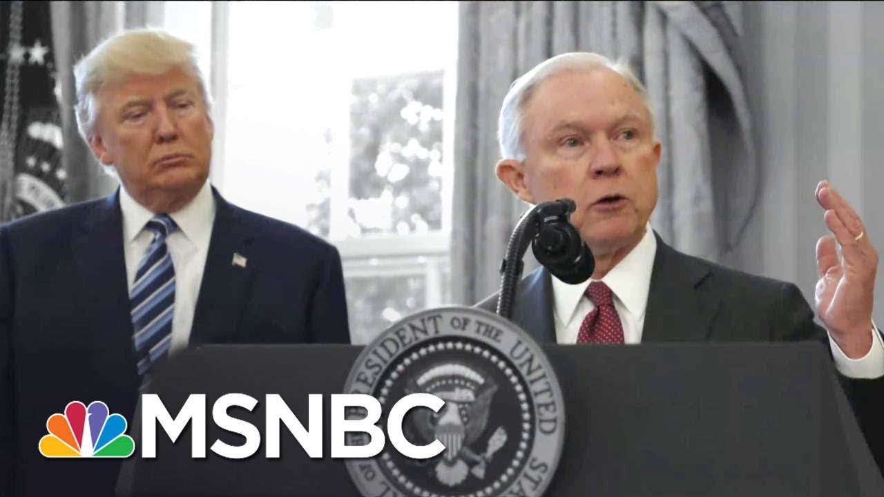 Donald Trump Reportedly Called Jeff Sessions An 'Idiot' & Told Him To Resign | The 11th Hour | MSNBC