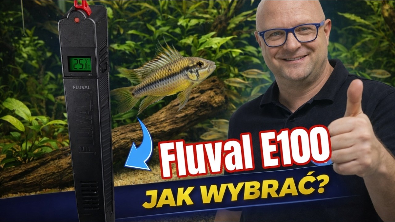 TEGO SPRZĘTU ZWYKLE NIE DOCENIASZ &ndash; Dop&oacute;ki nie stracisz obsady... Fluval E100
