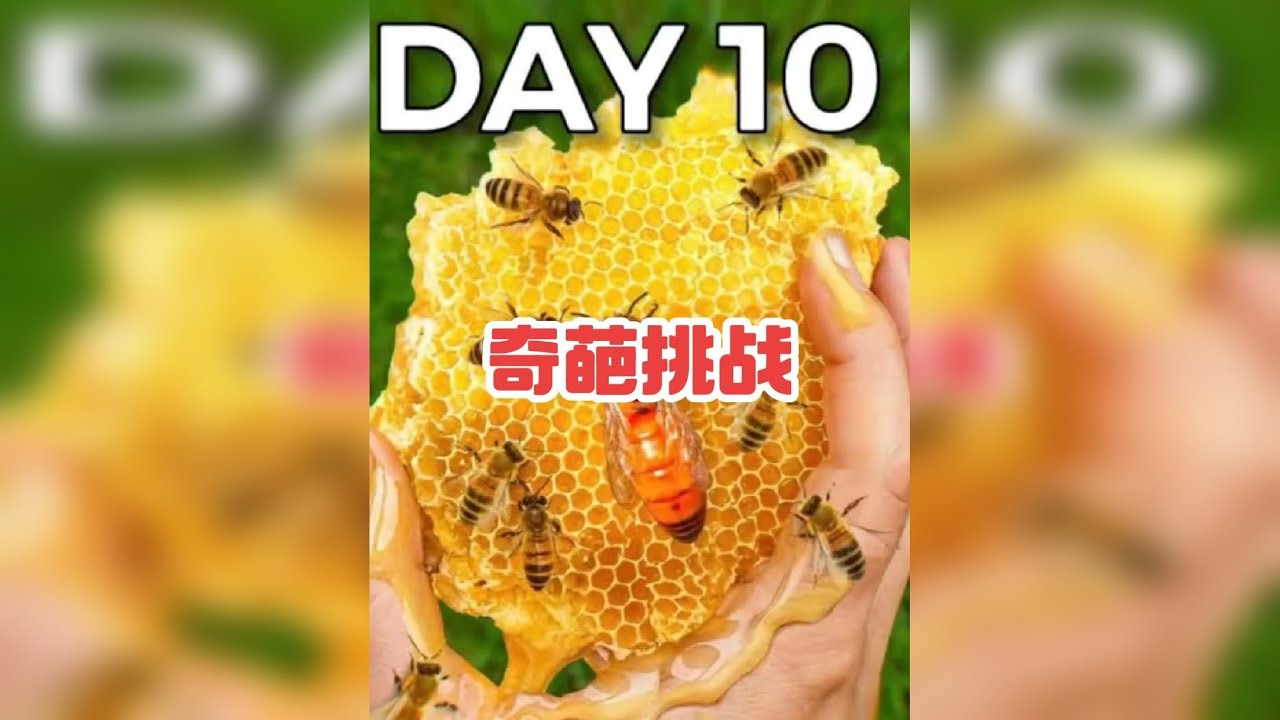 把一万只蜜蜂，养在衣柜里是种什么体验，这哥们用100天告诉你