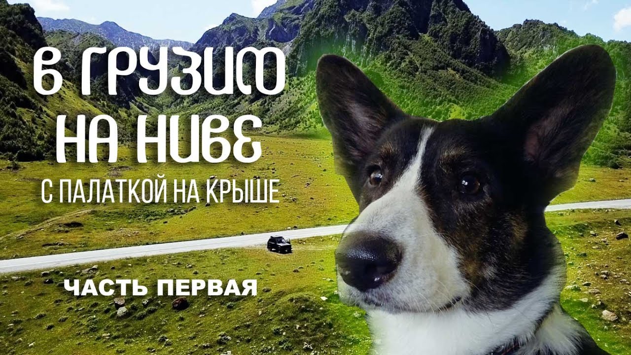 В ГРУЗИЮ НА НИВЕ С ПАЛАТКОЙ НА КРЫШЕ - Большое летнее приключение 2022  - Часть первая