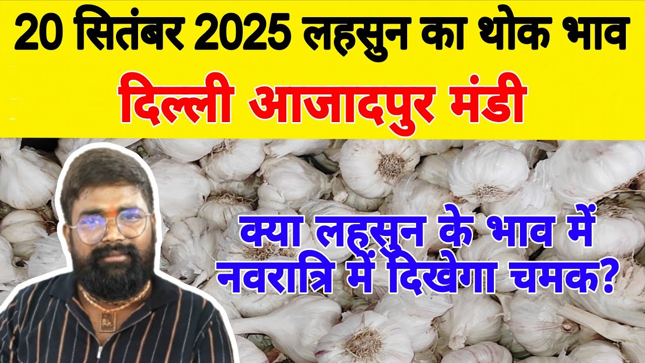 20 Sep 25 | Today Garlic Market Price | Garlic Price The Shocking Prediction #mandirates #garlic