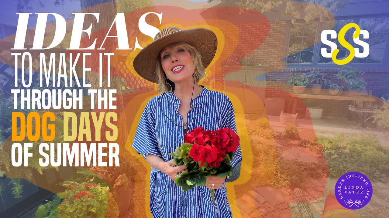 Inspiration To Get Through The Dog Days of Summer