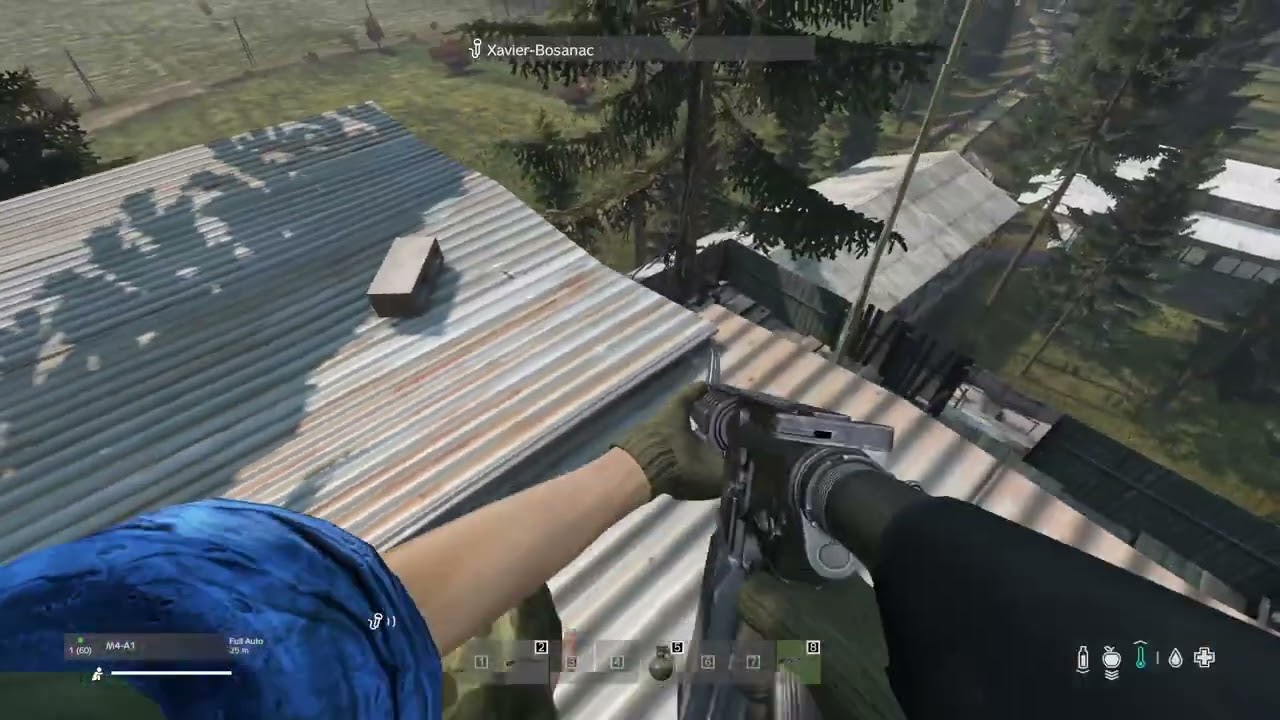 DayZ_20260123095806