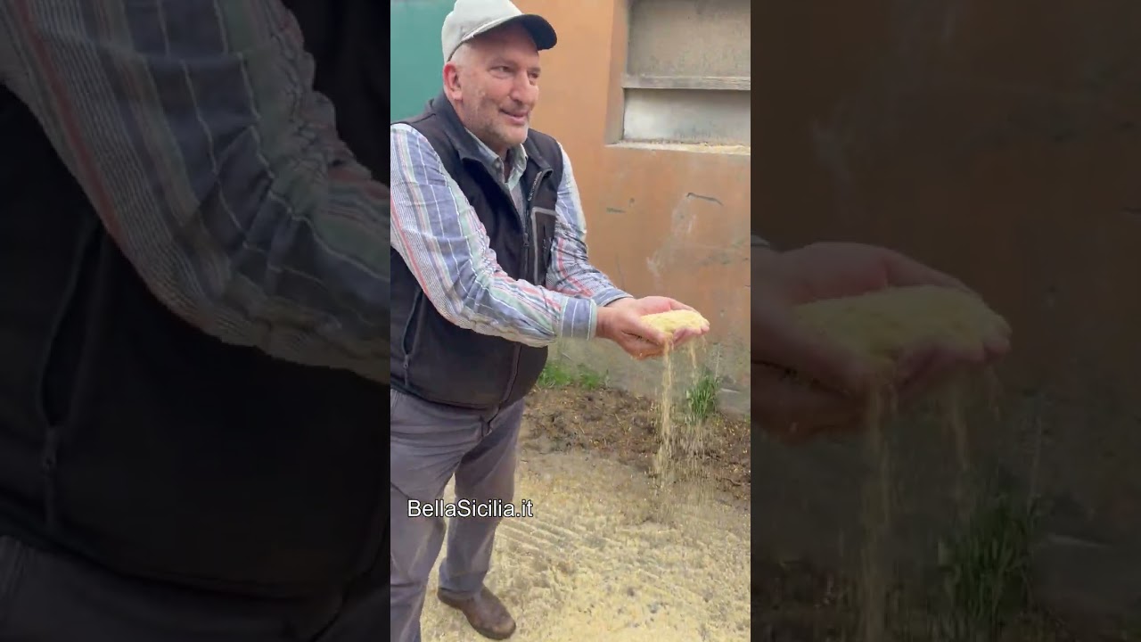Con queste mani da bambino mungevo le mucche