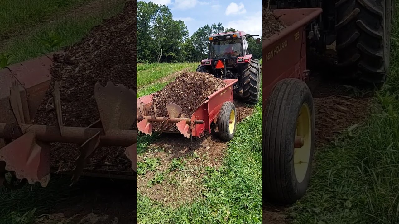 Spreading Mulch with a Manure Spreader. #neverdonethisbefore #growingpumpkins