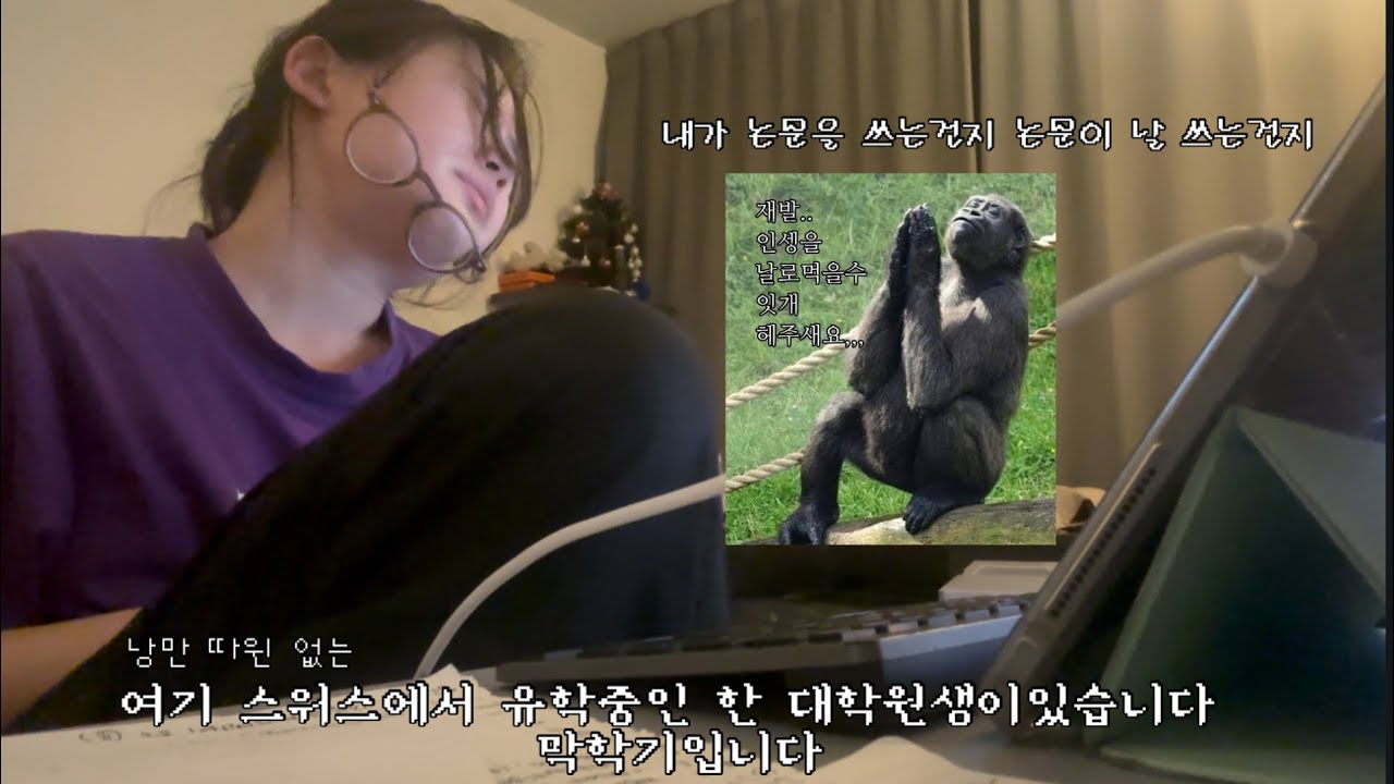 졸업만 시켜주세요 제발요🇨🇭논문 너 뭐 돼?