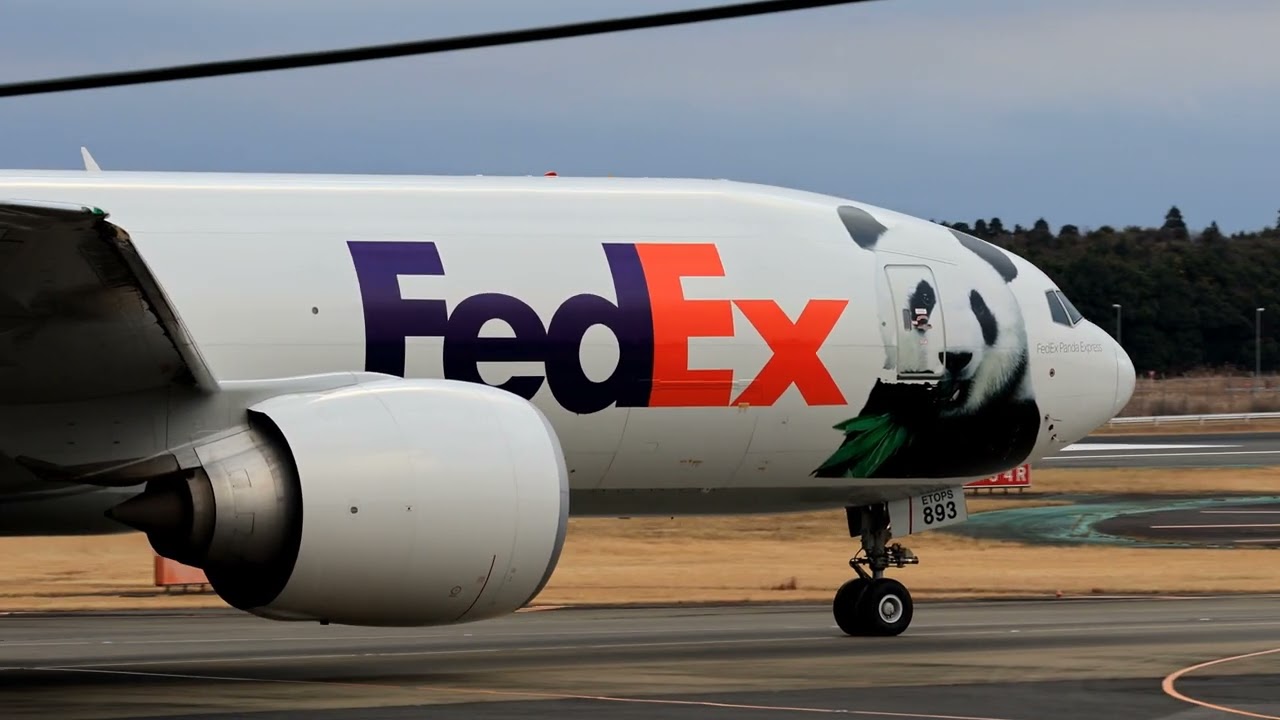 #成田空港＃FedExパンダ塗装　着陸　東雲の丘
