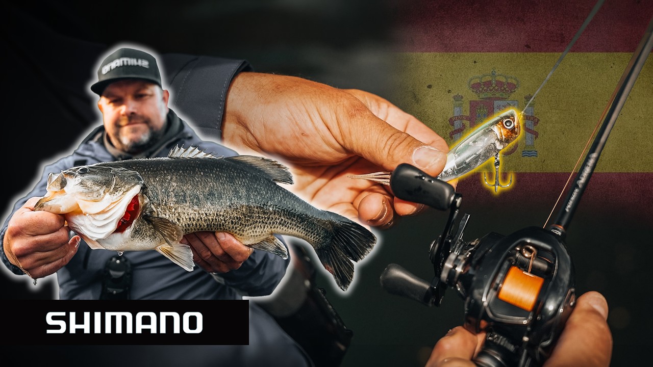 Topwater‑Bass am Oberen Ebro &ndash; Spanien‑Serie Teil 2