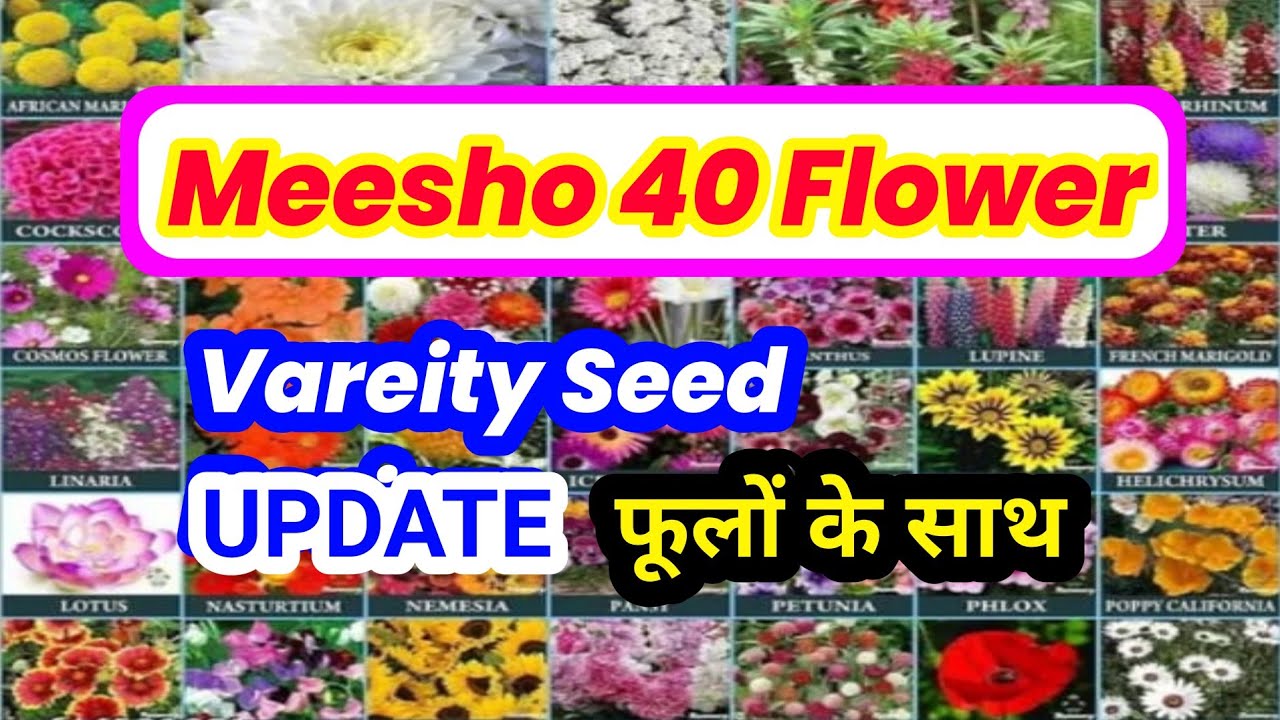 Meesho 40 Flower seed Review|| Meesho  Flower