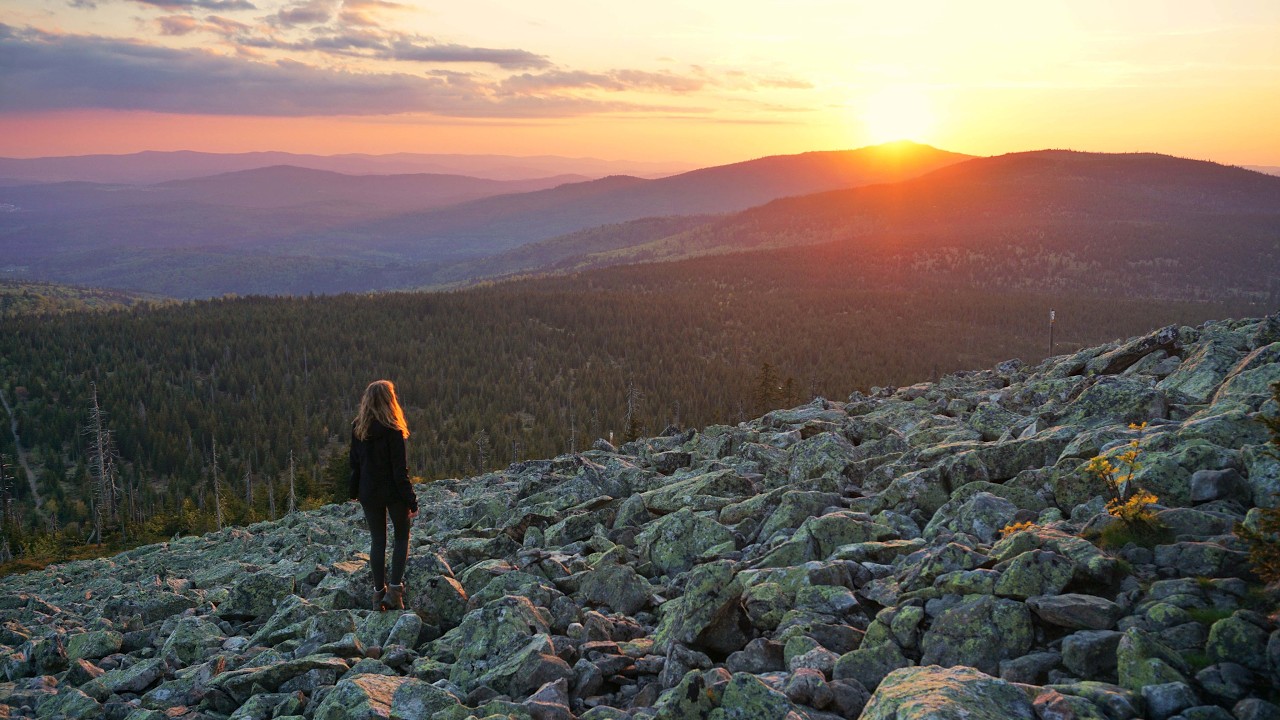 Bayerischer Wald – Wandern durch die bayerische Wildnis