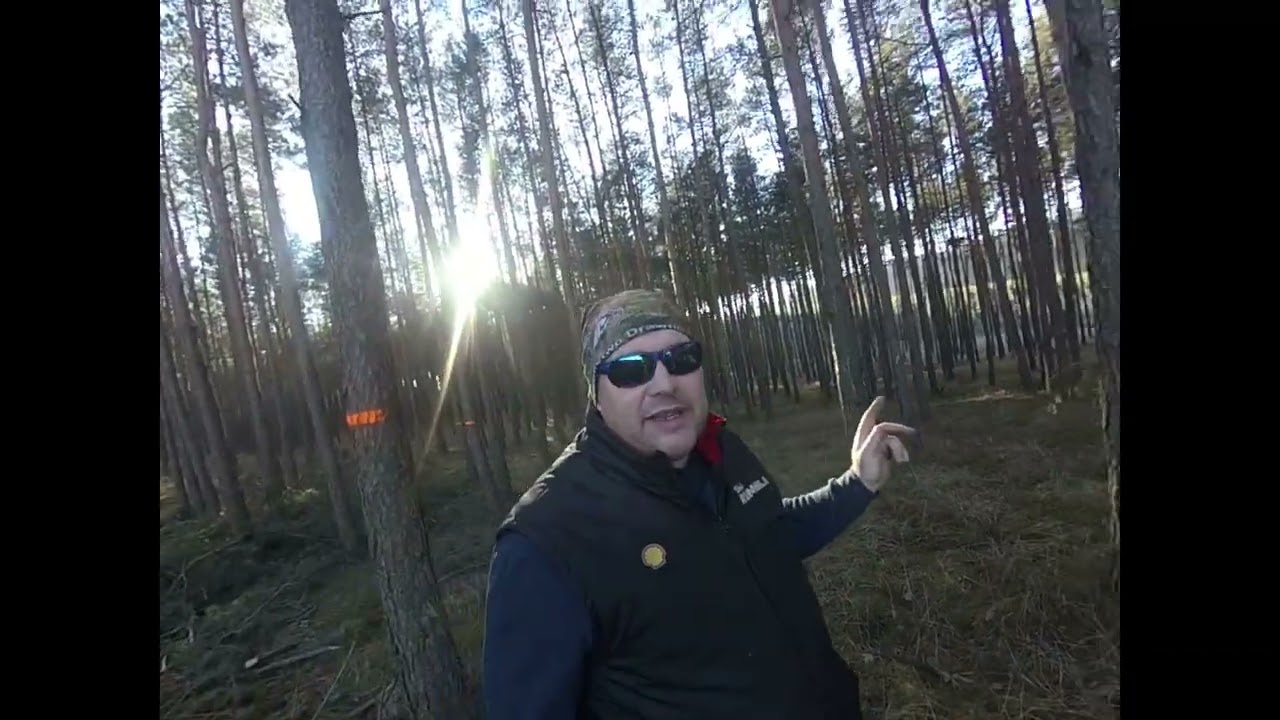 Forest Story-lll etap S10  KONIEC!