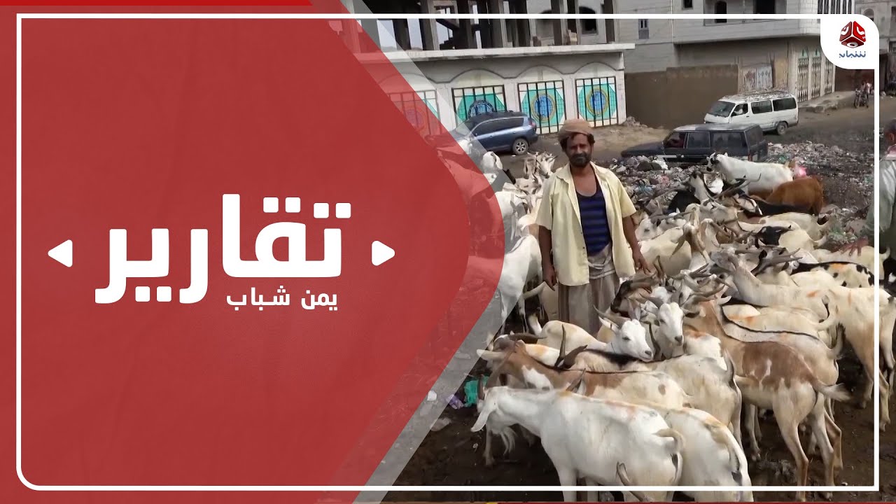 الضالع.. أسعار الأضاحي تتجاوز دخل المواطن والموظفين | تقرير يمن شباب