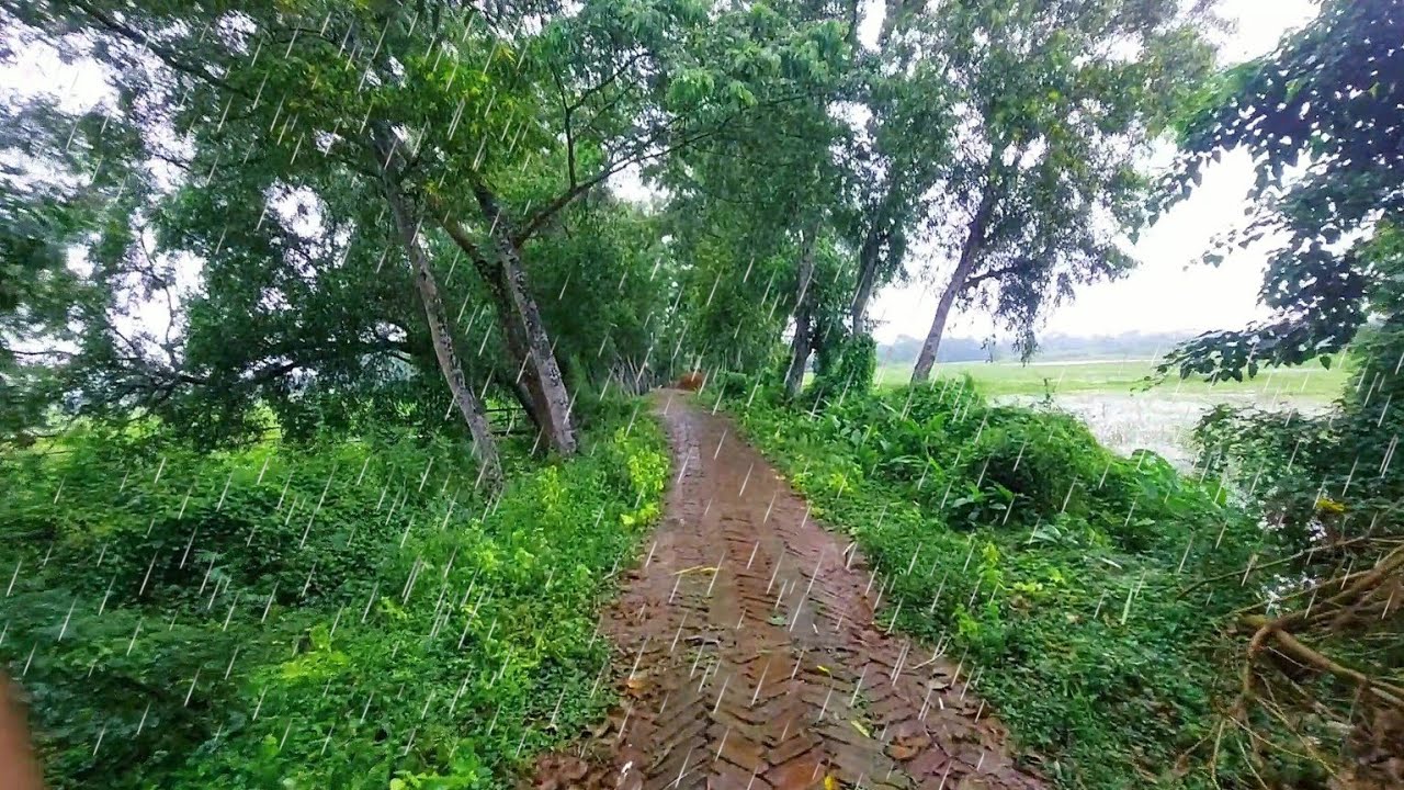 সারাদিন বৃষ্টি, Spending the Whole Day in the Rain with an Umbrella, Exploring Unusual Rural Views