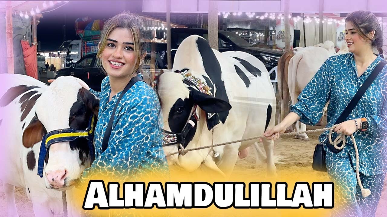 ALHAMDULILLAH 😇 QURBANI KA JANWAR LELIYA | BAKRA EID 2023 | GIRL DEAL IN KARACHI MANDI
