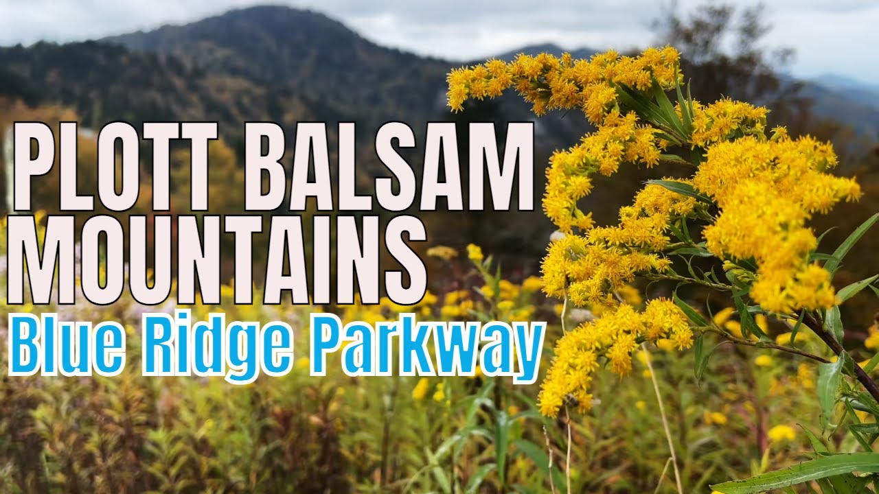 Plott Balsam Mountains on the Blue Ridge Parkway