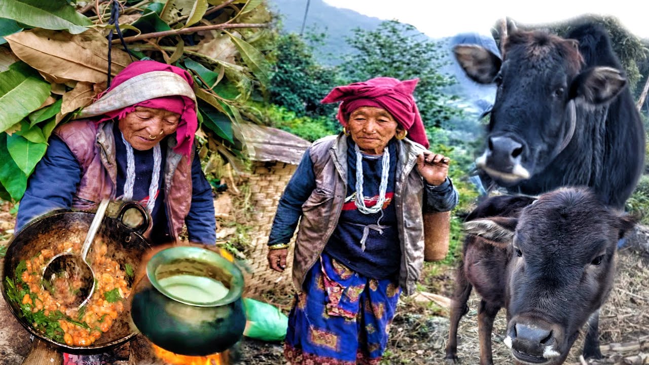 Life of an Old Woman Living Alone in a Remote Village. || Rural Nepal Reality ||