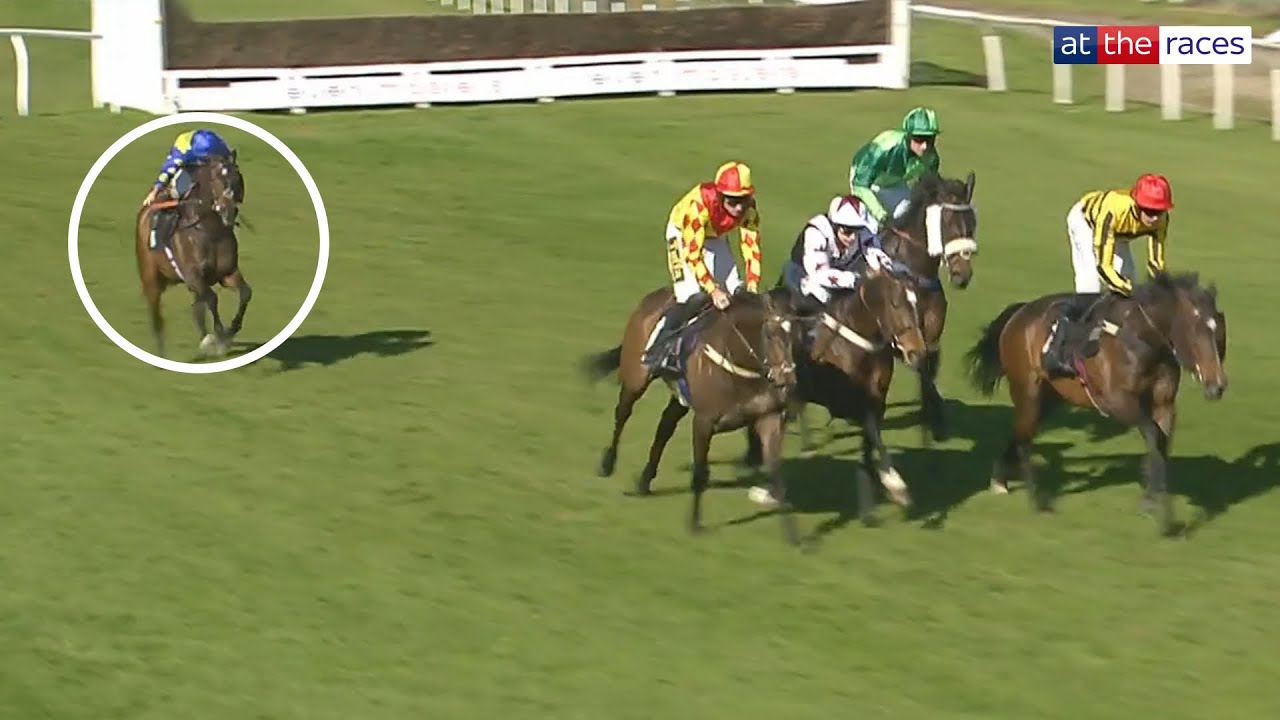 UNREAL RIDE! | A Sean Bowen special aboard Shared at Plumpton