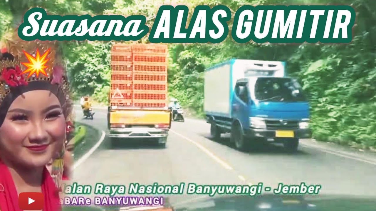 SUASANA ALAS GUMITIR TERBARU JLS BANYUWANGI By Veloz 1.5 MT