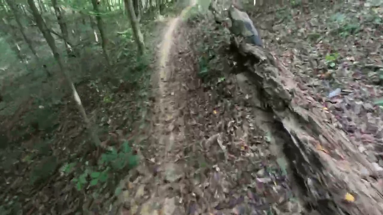 Raisin Woods