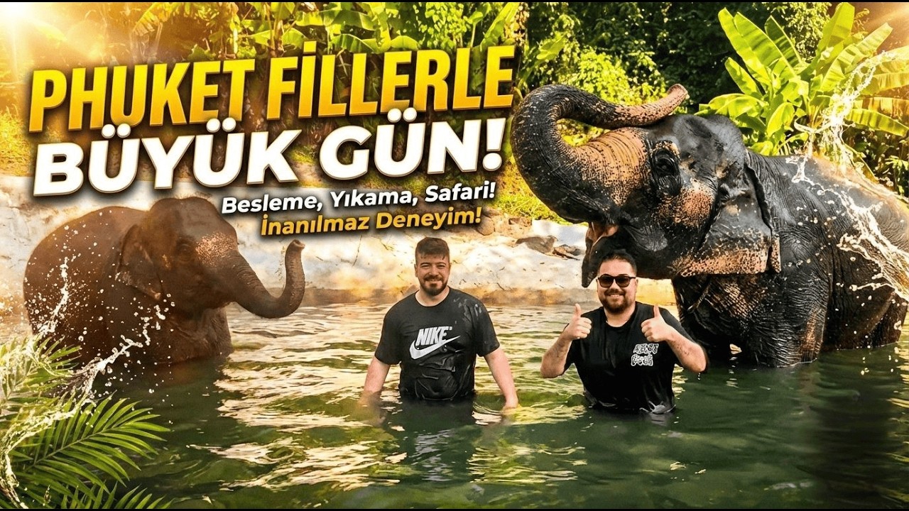 Tayland Phuket’te Fillerle Bir Gün | Besledik, Yıkadık, Safari Yaptık 🇹🇭