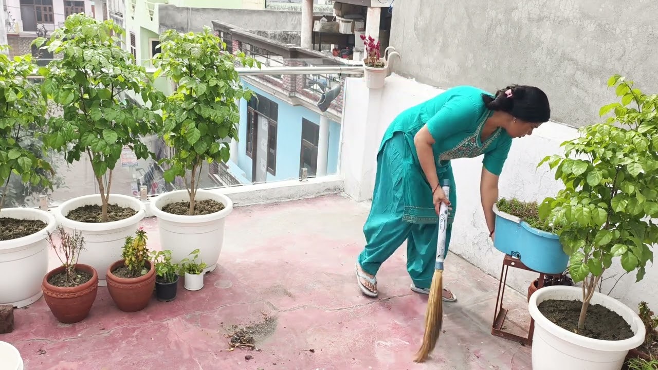 किचन के कंटेनर में बचे हुए नमकीन बिस्किट को सर्दियों में पक्षियों के लिए रख दे kitchen organise, 
