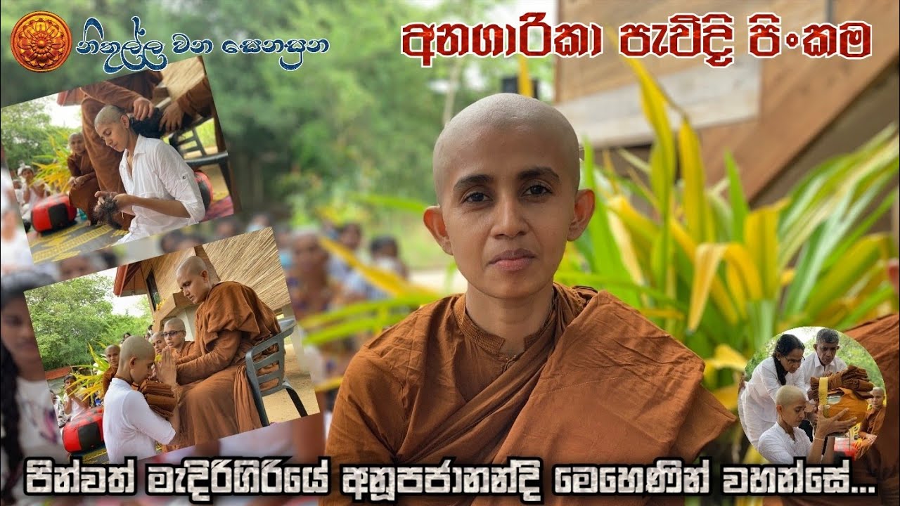 Pevidi Pinkama (අනගාරිකා  පැවිදි පිංකම )