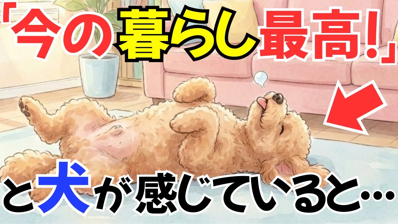 【知ってた!?】犬が今の暮らしに幸せだと満足している行動8選