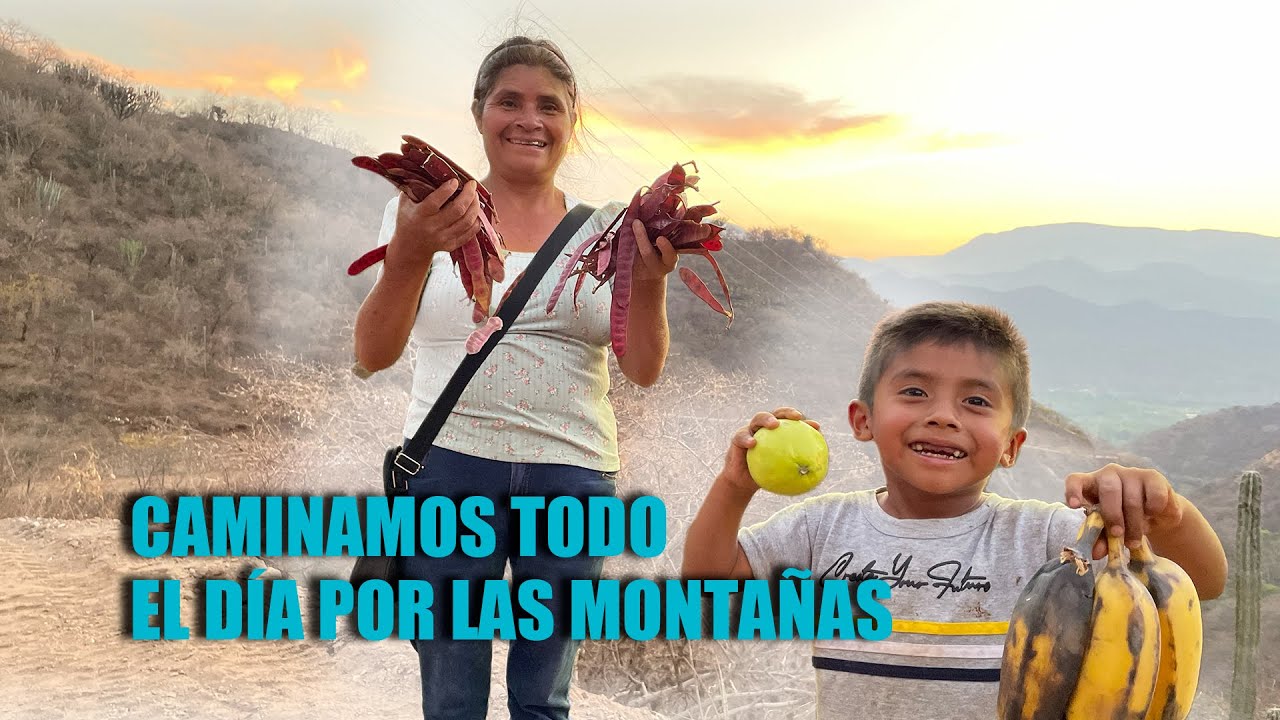 Valió la pena caminar horas con mis chilacayotas y mi nieto, conseguí frutas y otras cositas