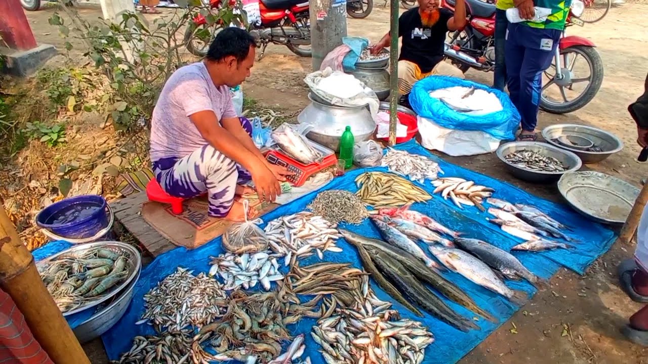 Desi Fish market | open fish market | Village Fish market | Bangladeshi Village Fish market