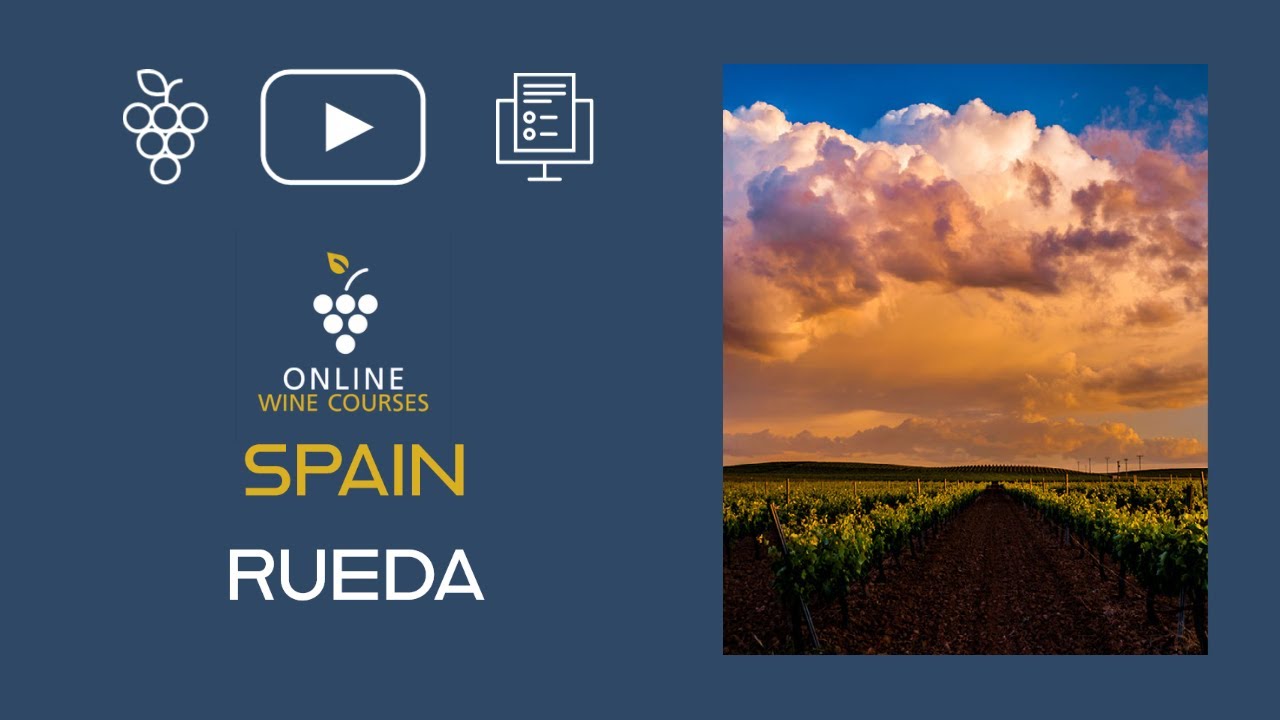 Wine Region of Rueda | Spain🍇Online Wine Courses ➡️ with QUIZ