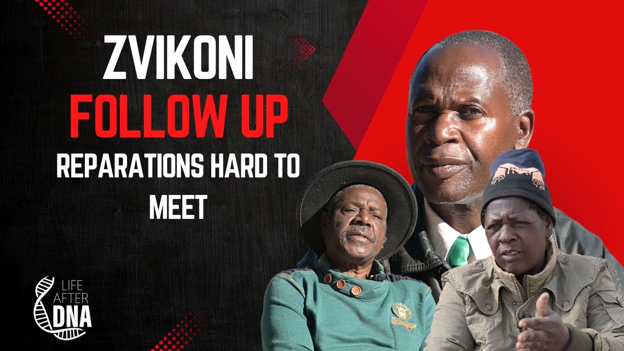 ZVIKONI FAILING TO MEET REPARATIONS: LIFE AFTER DNA SHOW #dnashow #tinashemugabe