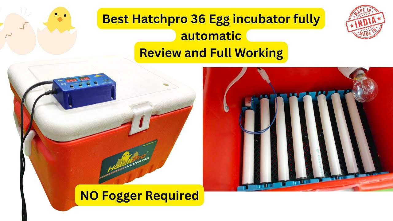 Latest 36 Egg Automatic Egg Incubator 2025 | Review and working | Chicken eggs , Desi Eggs hatching
