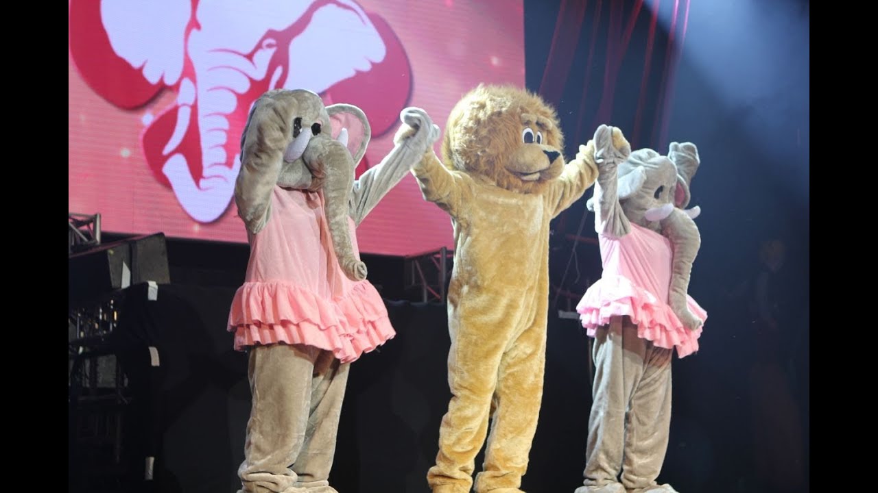 CIRCUS PAWS: Part 2. . . The Show