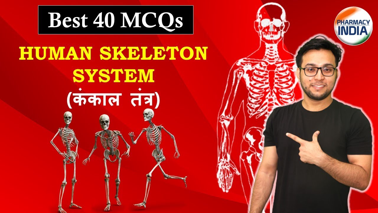 Skeleton system MCQs I Detailed Explanation