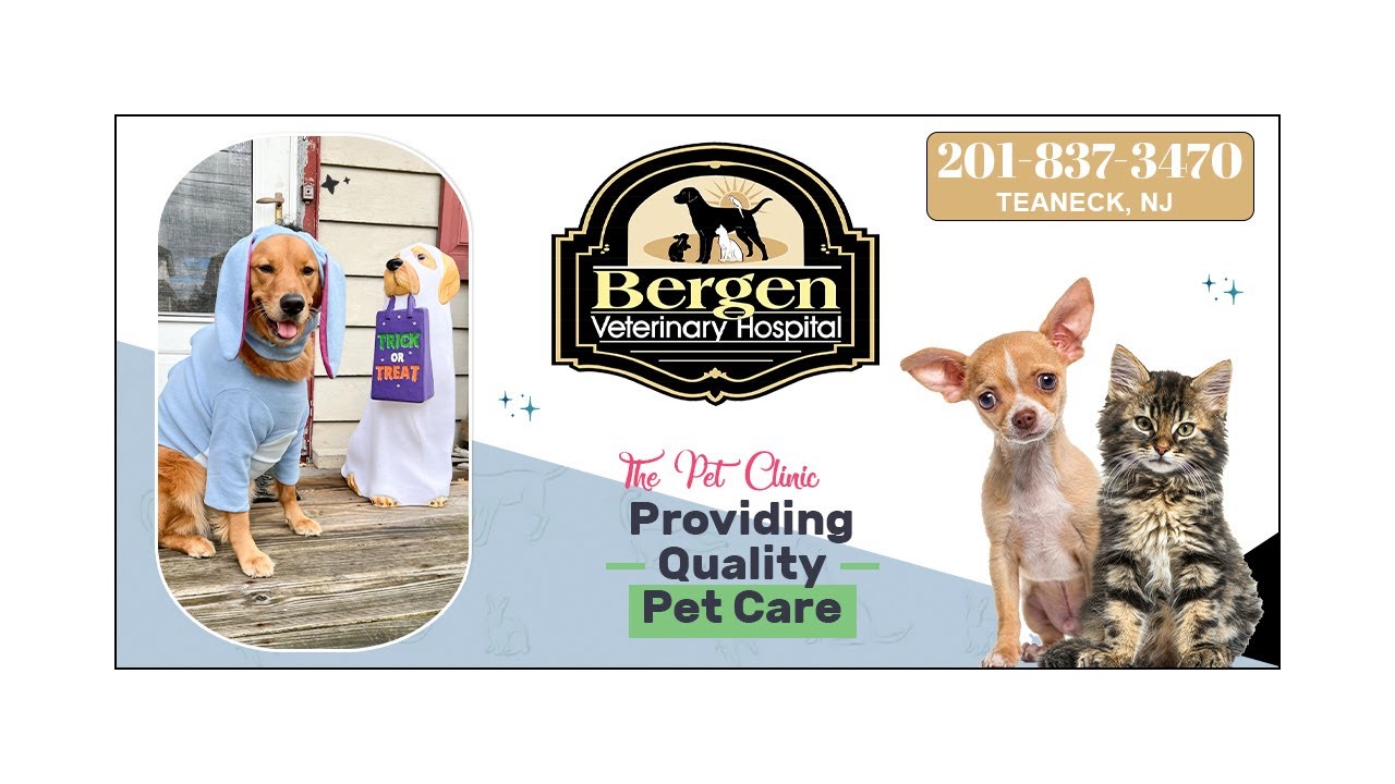 Bergen Veterinary Hospital