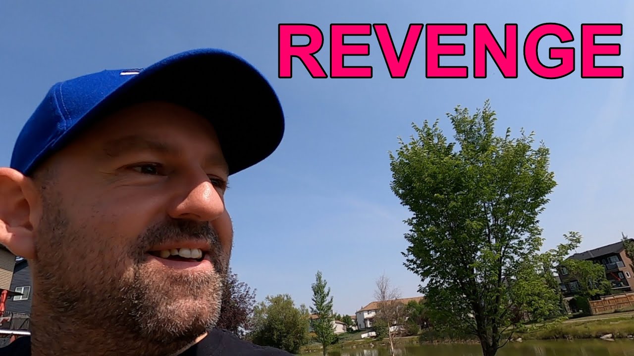 Two English Expressions about REVENGE