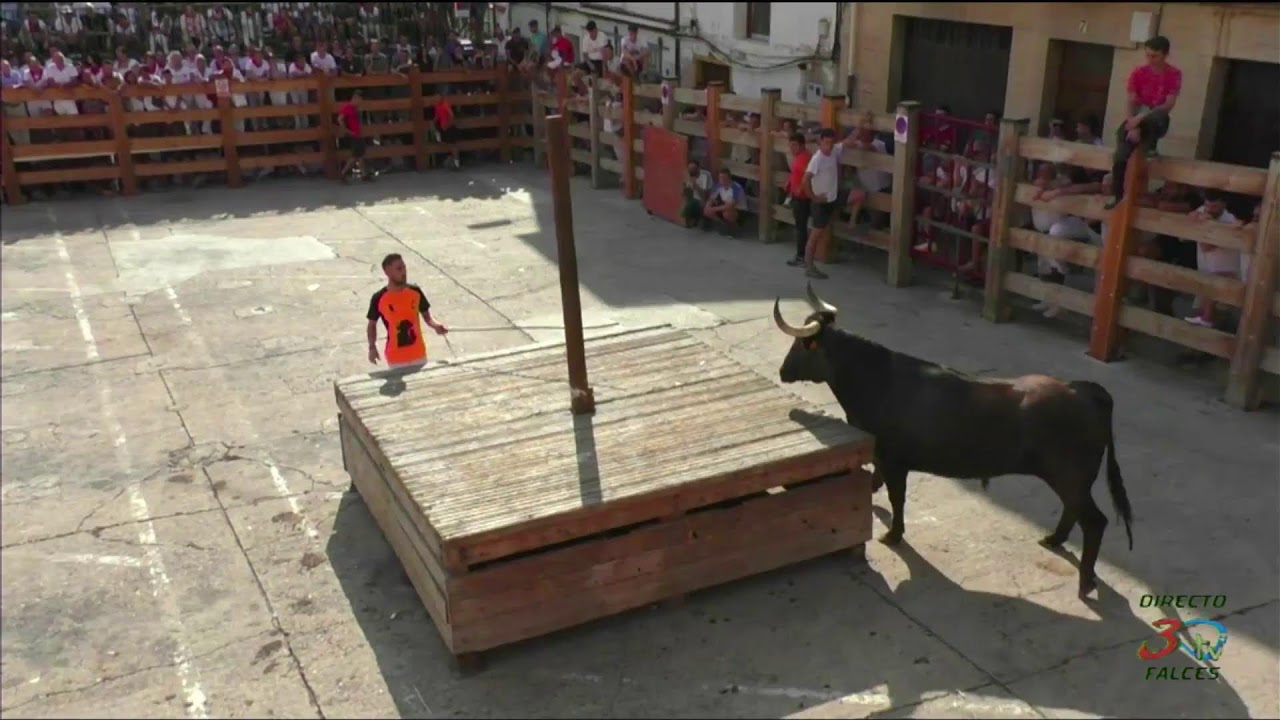 Falces, Fiestas 2024, Prueba de Ganado, Teodoro Vergara, Lunes 12/08/2024