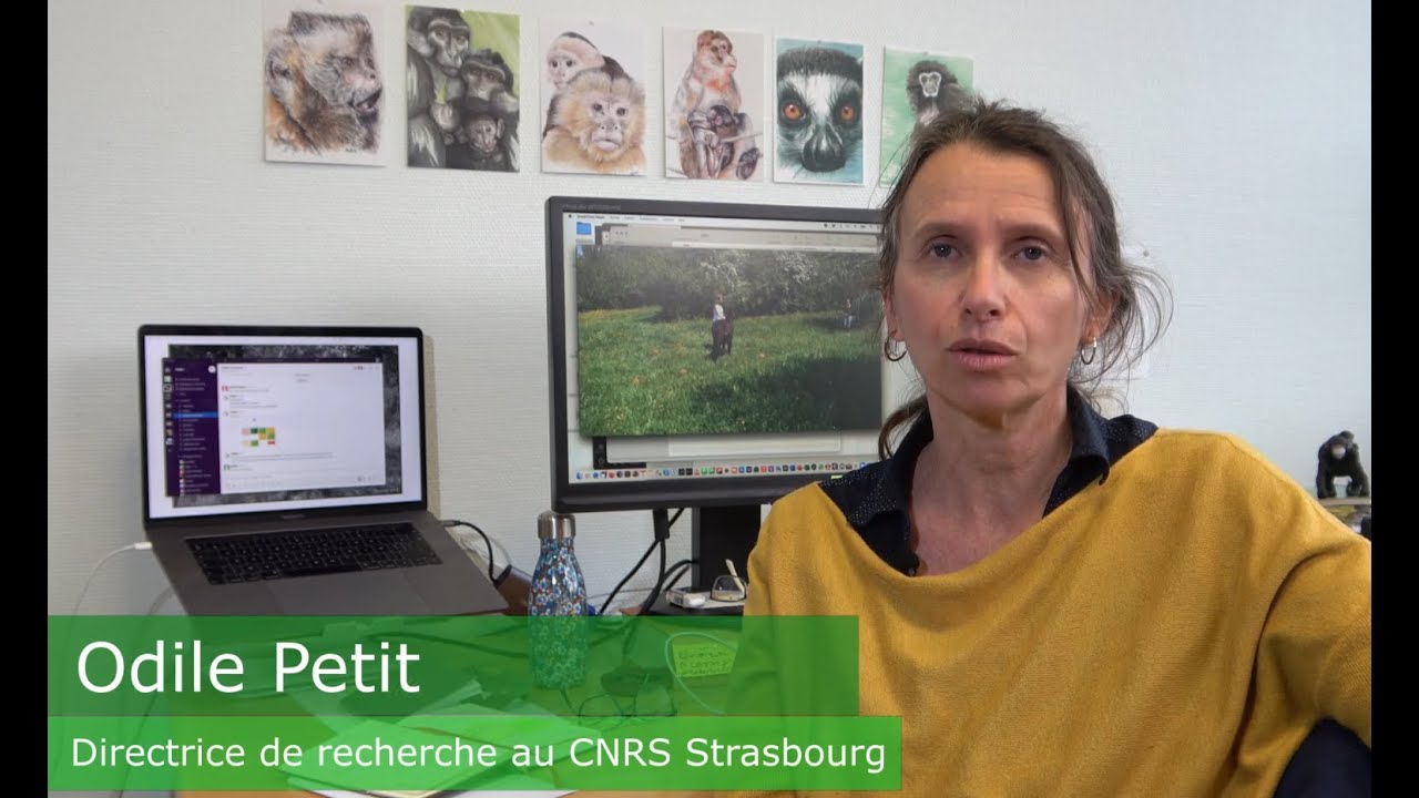 Parcours d'éthologues _ Odile Petit