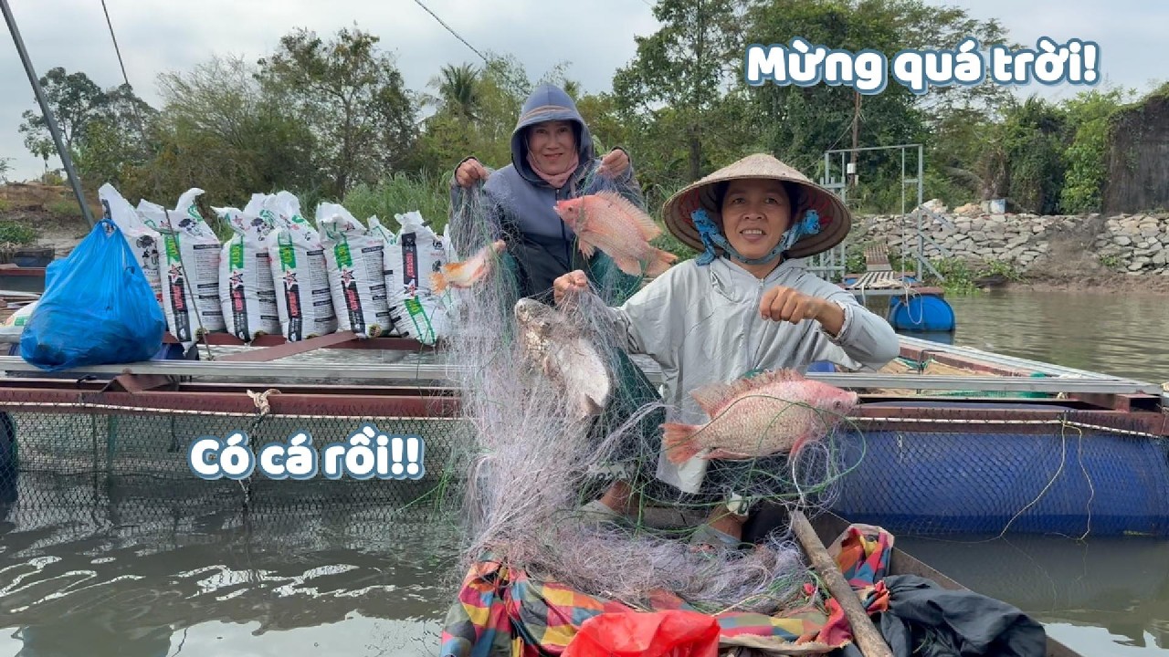 Nay bà cậu thương, bao bè có cá mừng muốn xỉu #ngườiđồngtháp