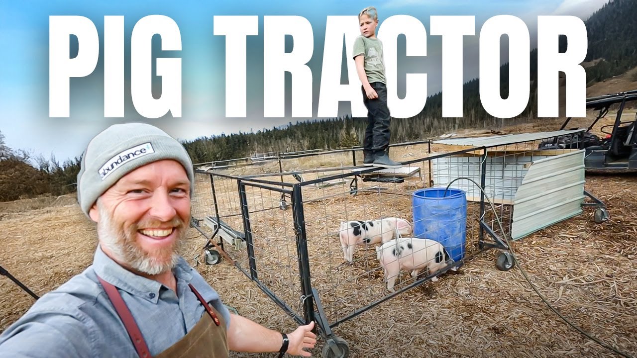 We built a PIG TRACTOR (to heal the land)