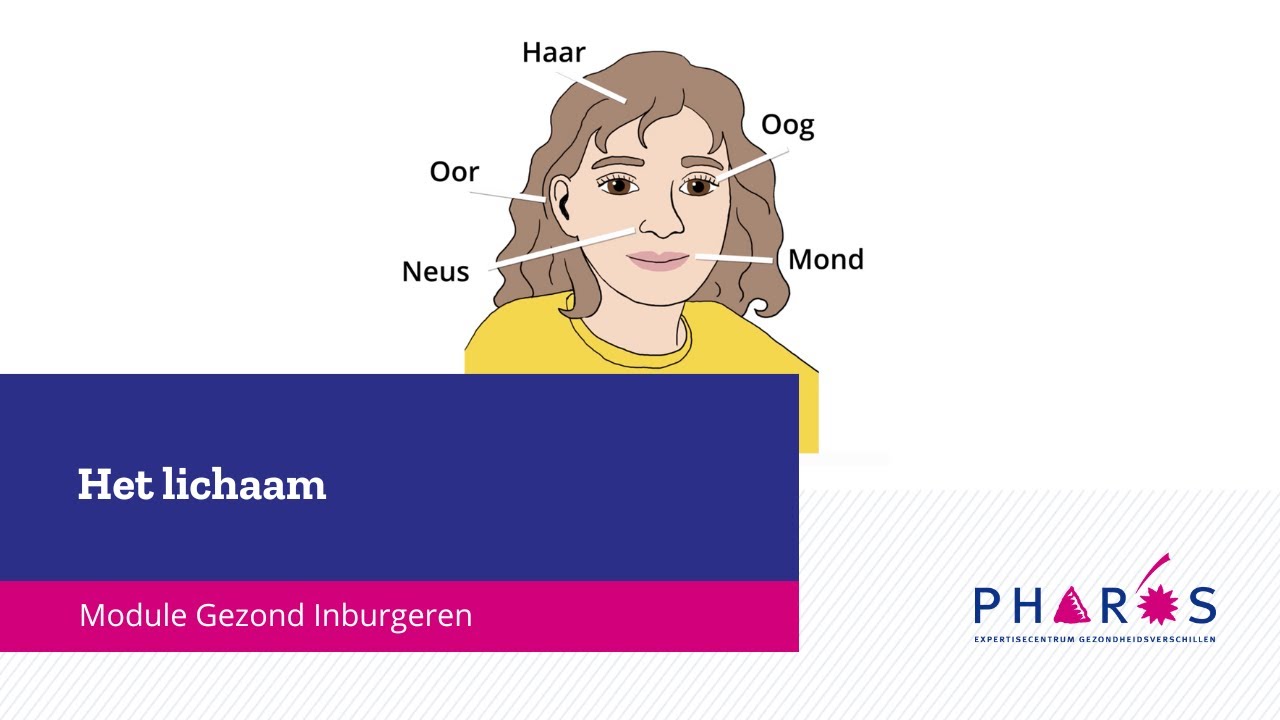 Het lichaam, Module Gezond Inburgeren | Pharos, expertisecentrum gezondheidsverschillen