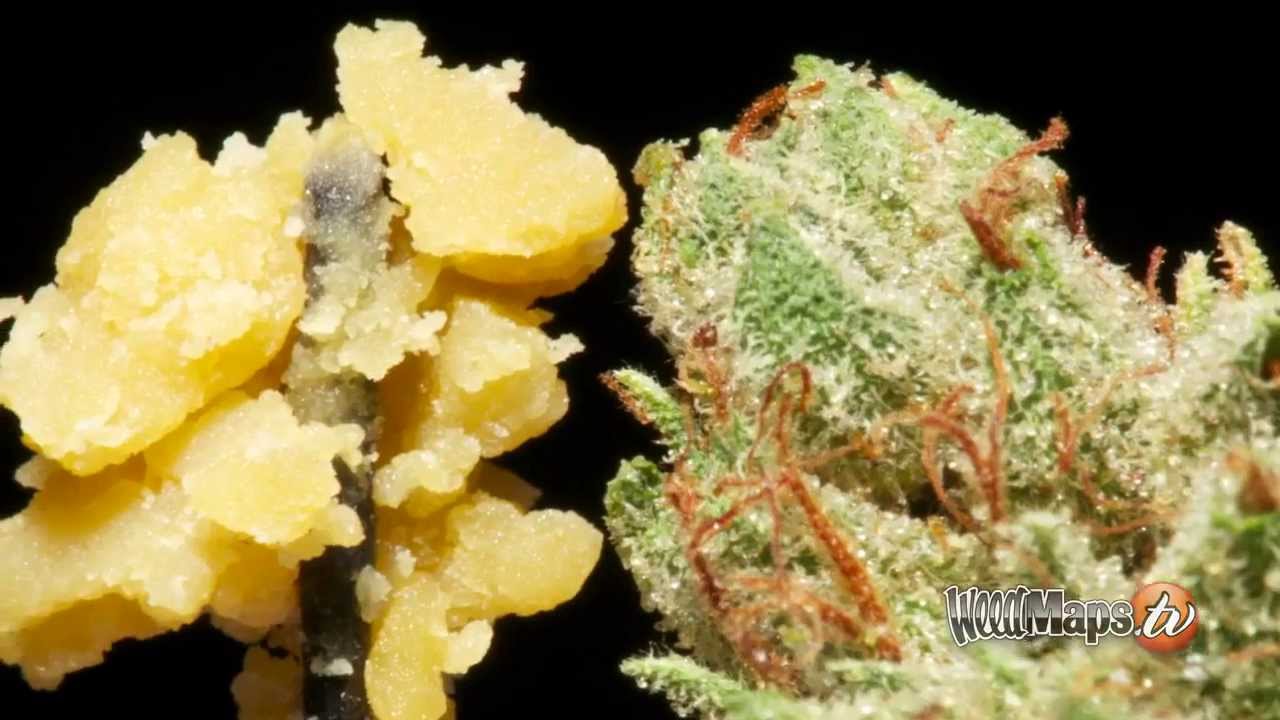 710 OG Strain Review & 710 OG Nectar Wax Review by WeedMaps.TV