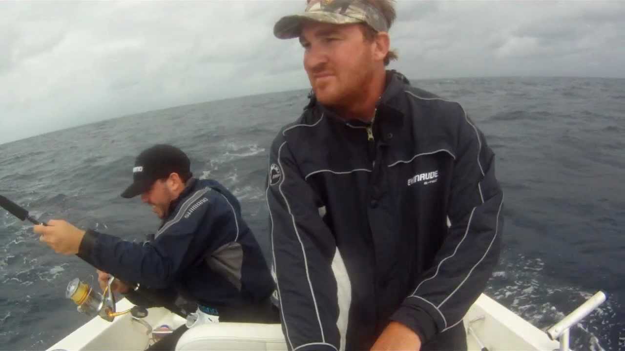 Striped Marlin on Stella and Ocea Switchbait