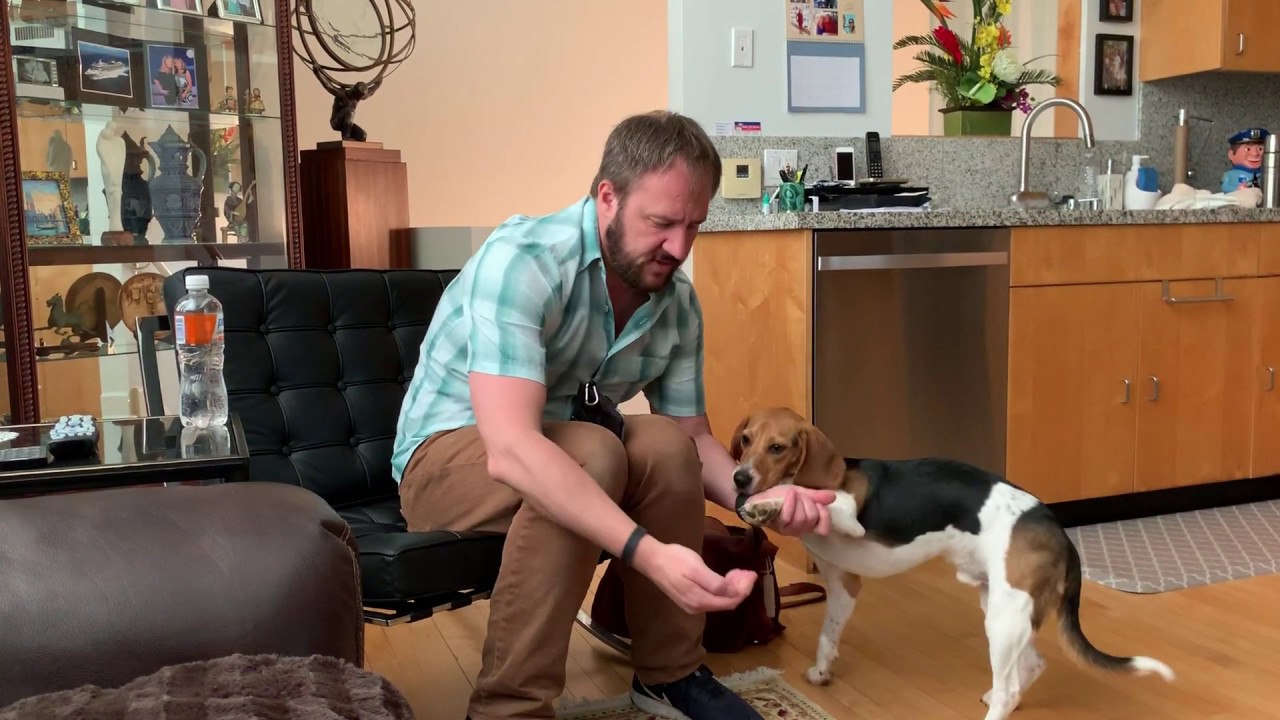 Leo's Roadmap to Success