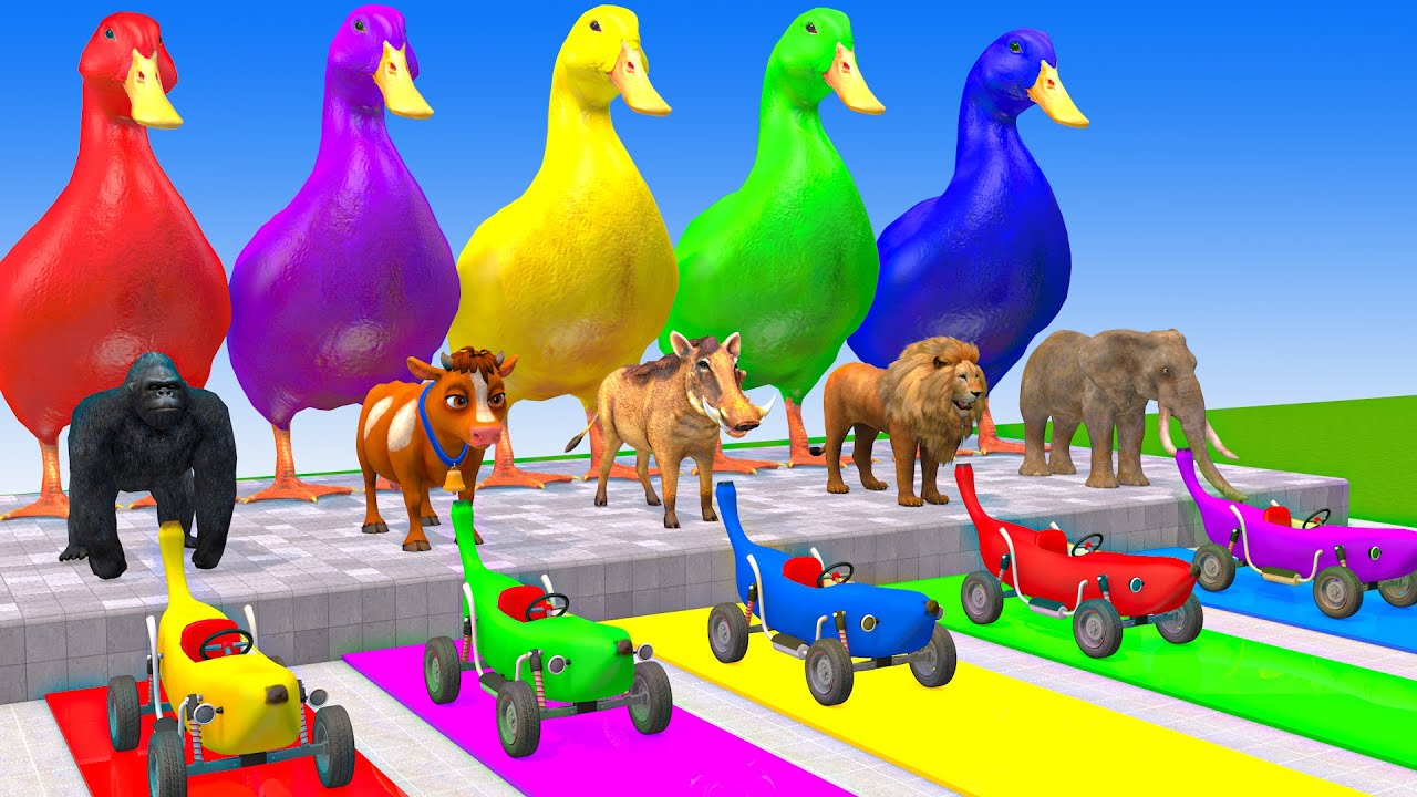 Long Slide Game With Elephant Gorilla Buffalo Hippopotamus Tiger 3d Animal Game Funny 3d Animals